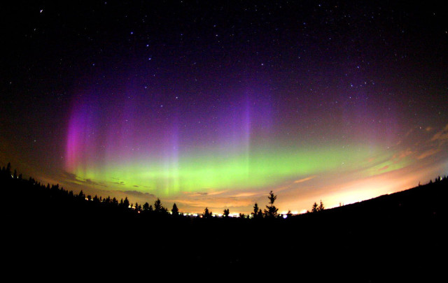 Bright aurora borealis forest night free wallpaper - medium preview image