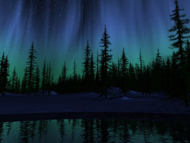 Night lake trees aurora lights free wallpaper - medium preview image