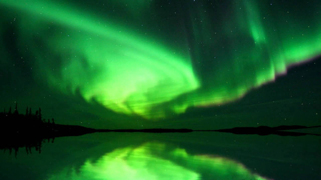 Green purple aurora lake trees free wallpaper - medium preview image