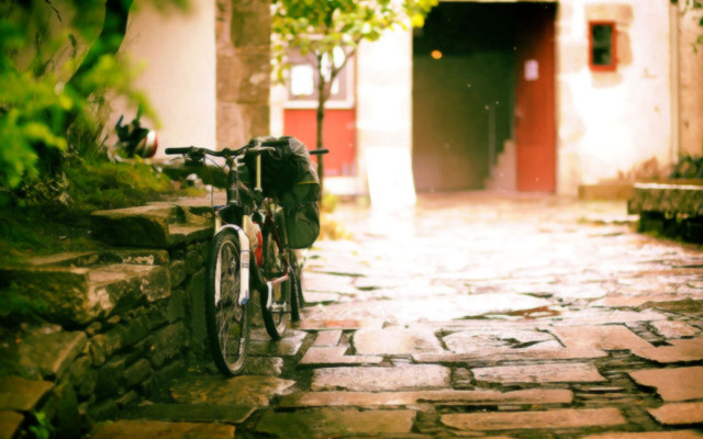 Bicycle stonepath reddoor tree tiltshift free wallpaper - medium preview image