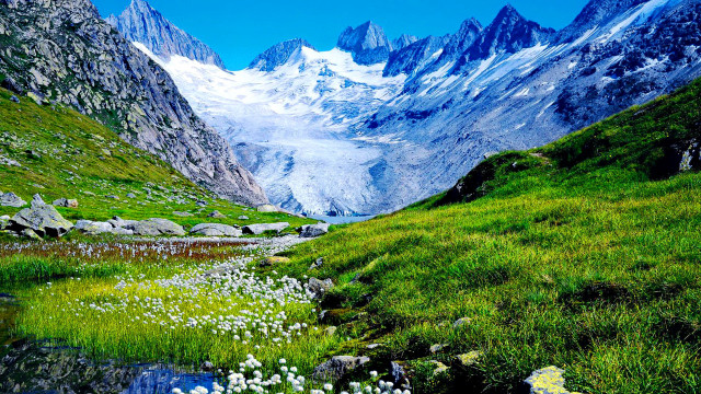 Mountain stream grassy field flowers free wallpaper - medium preview image
