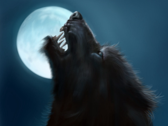 Wolf howling full moon mouth free wallpaper - medium preview image