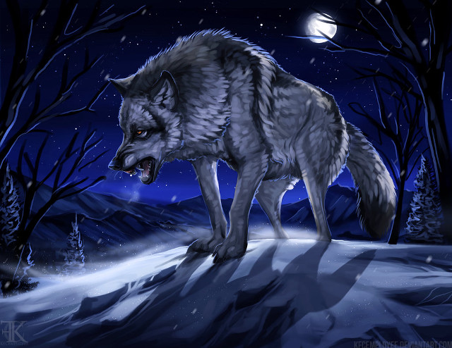 Wolf snow night fullmoon trees free wallpaper - medium preview image