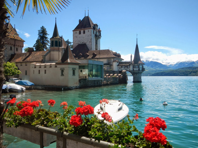Boat bridge tower red flowers free wallpaper - medium preview image