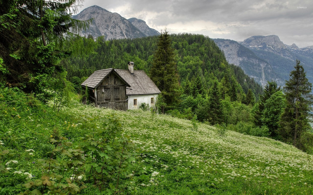 House hill forest mountains cloudy free wallpaper - medium preview image
