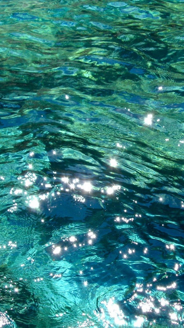 Blue water bubbles bird flying free wallpaper - medium preview image