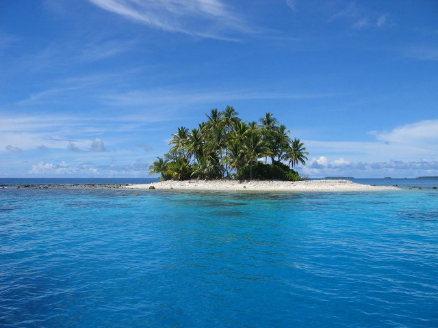 Small island palm trees ocean #3 free wallpaper - medium preview image