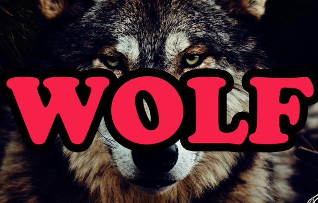 Wolf conceptual volumetric art grass free wallpaper - medium preview image