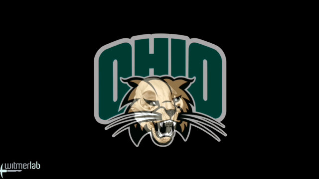Ohio university football team logo free wallpaper - medium preview image