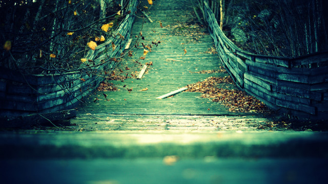 Wooden walkway leaves fence background free wallpaper - medium preview image