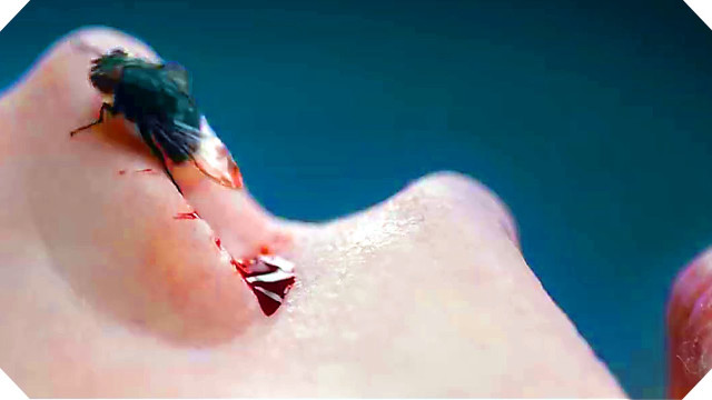 Insect finger blood blue transgressive free wallpaper - medium preview image