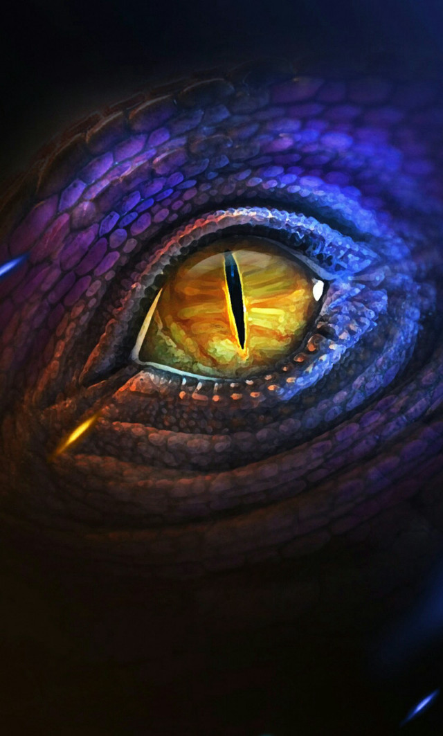 Dragon eye yellow iris black #2 free wallpaper - medium preview image