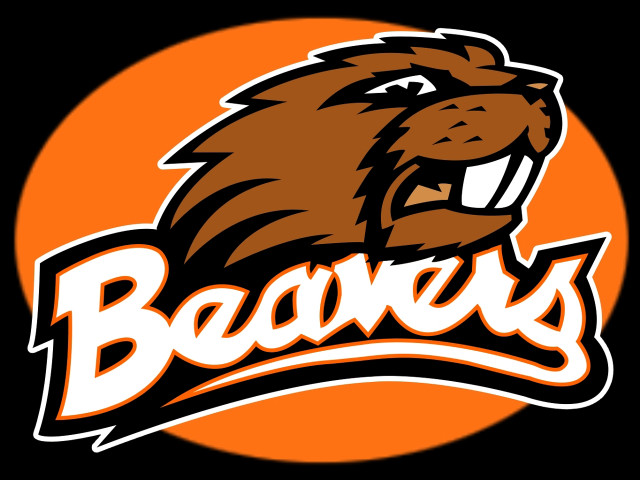 Beaver logo beavers face lion free wallpaper - medium preview image