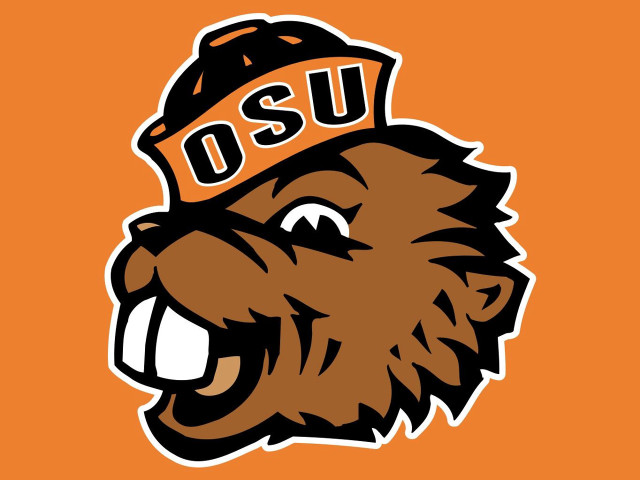 Brown bear hat osu smiling #2 free wallpaper - medium preview image