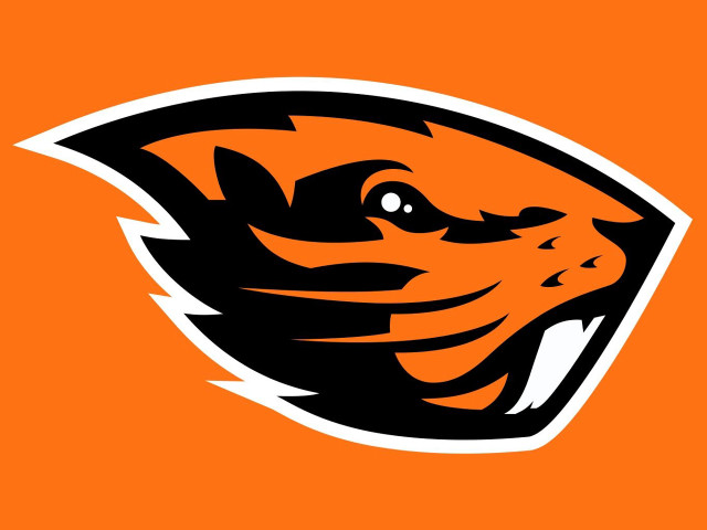 Tiger head orange background black #2 free wallpaper - medium preview image