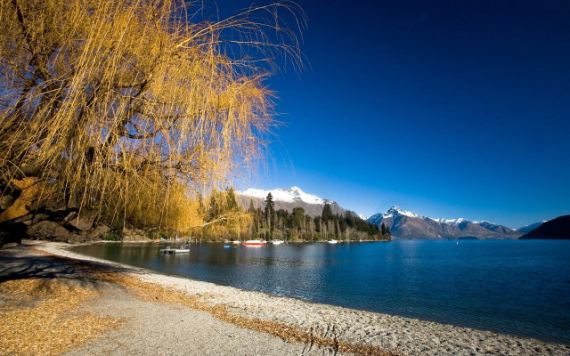 Lake tree mountains path water free wallpaper - medium preview image