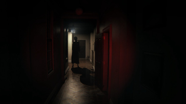 Person dark hallway light cat free wallpaper - medium preview image