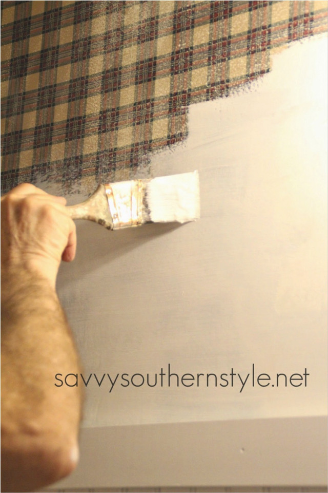 Man painting wall plaid roller free wallpaper - medium preview image