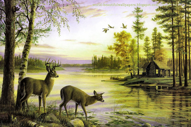 Deer lake cabin birds flying free wallpaper - medium preview image