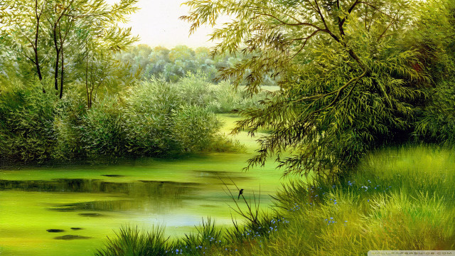 River green water trees bird free wallpaper - medium preview image