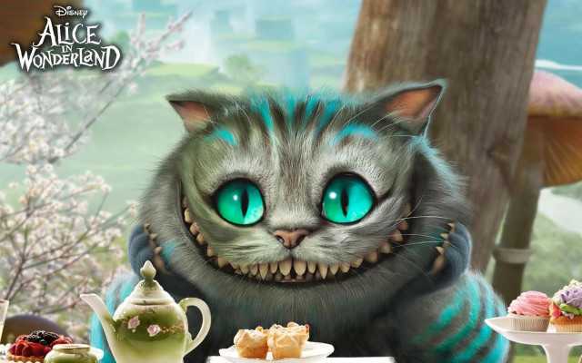 Cat green eyes tea cakes free wallpaper - medium preview image