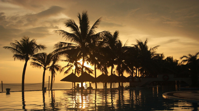 Pool sunset palm trees hammock free wallpaper - medium preview image
