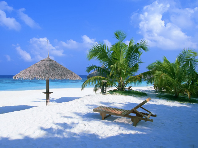 Beach bench thatched umbrella palm free wallpaper - medium preview image