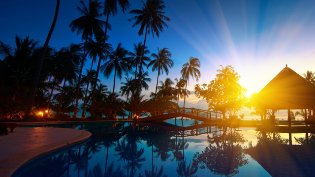 Pool gazebo palm trees sunset free wallpaper - medium preview image