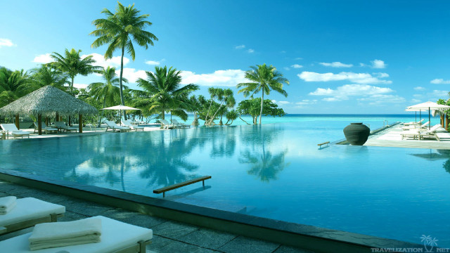 Large pool ocean view palm free wallpaper - medium preview image