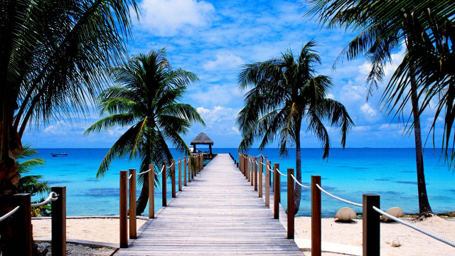 Wooden dock beach palm trees free wallpaper - medium preview image