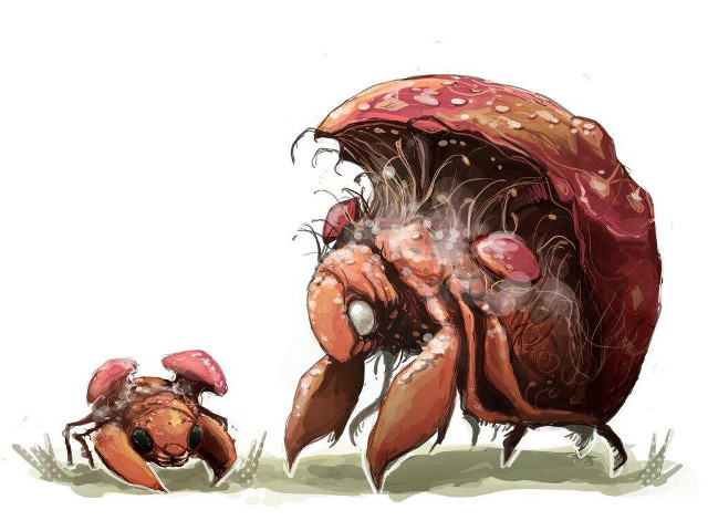Drawing bug crawling grass mushroom free wallpaper - medium preview image