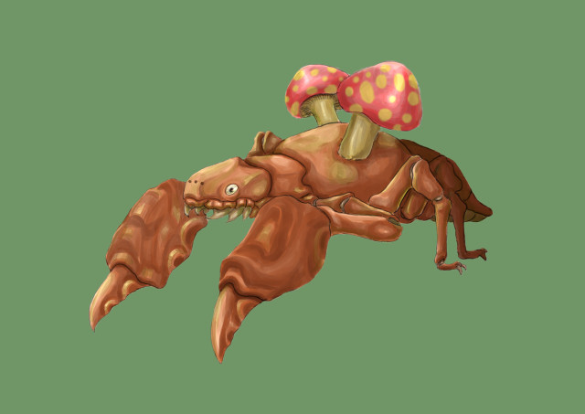 Cartoon crab mushroom back funny free wallpaper - medium preview image