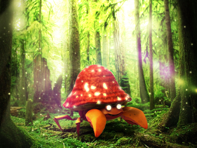 Mushroom lights woods trees grass free wallpaper - medium preview image