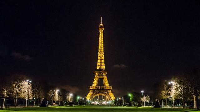 Tall tower night lit trees free wallpaper - medium preview image