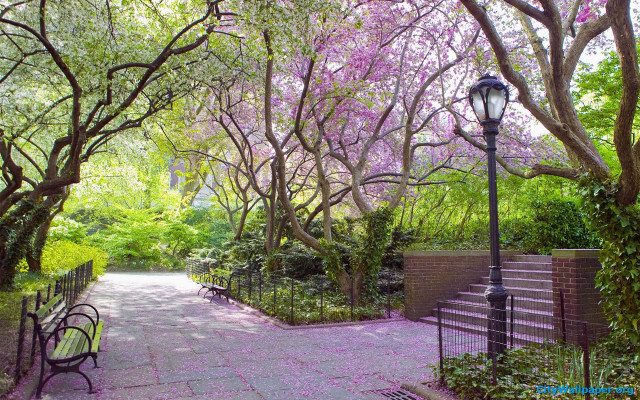 Park bench lamp post trees free wallpaper - medium preview image
