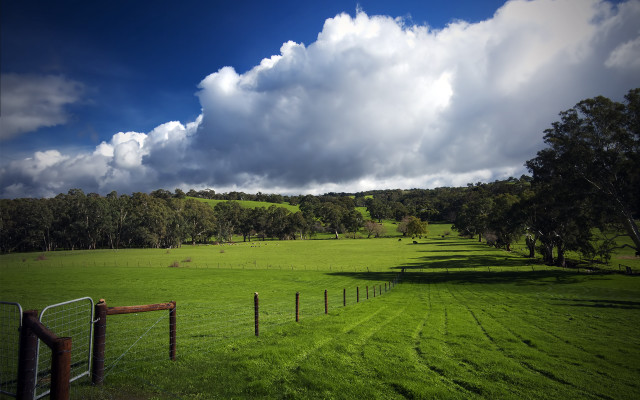 Field fence trees cloudy sky free wallpaper - medium preview image