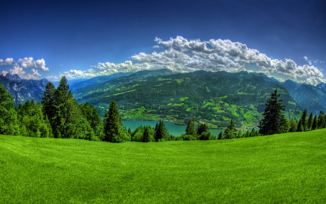 Green field lake mountains trees free wallpaper - medium preview image