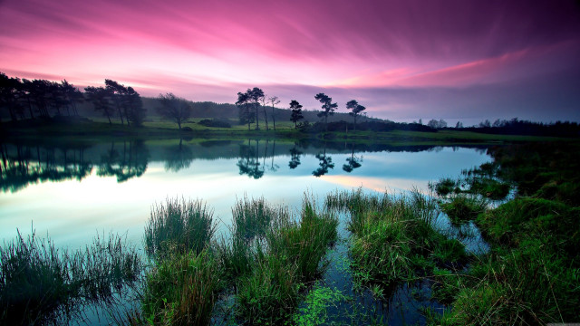 Pink sky lake trees grass free wallpaper - medium preview image