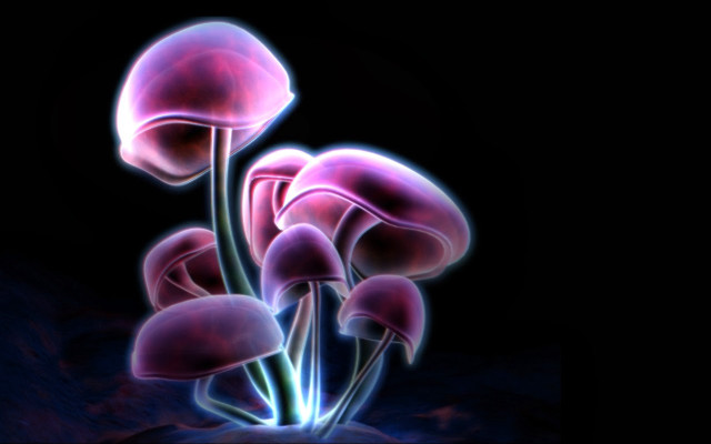 Pink flowers black background blue free wallpaper - medium preview image