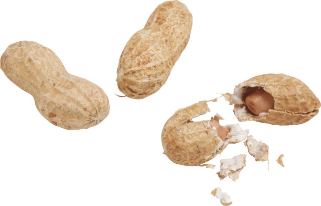 Peanut broken half white background free wallpaper - medium preview image