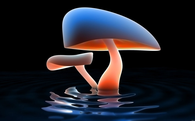 Blue orange mushroom floating water free wallpaper - medium preview image