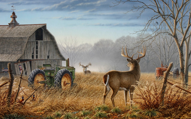 Deer tractor field barn foreground #2 free wallpaper - medium preview image