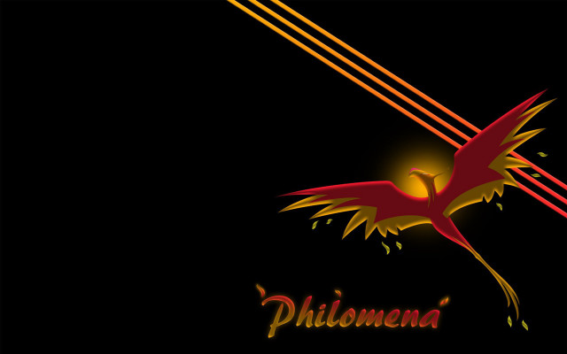 Red bird yellow tail flying free wallpaper - medium preview image