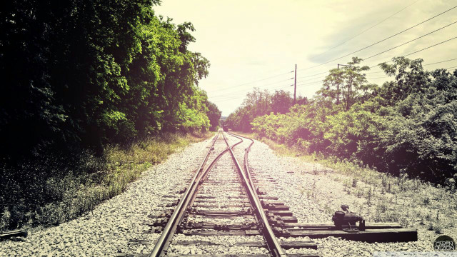 Train track person sitting trees free wallpaper - medium preview image