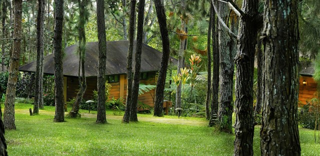 Cabin woods pathway forest river free wallpaper - medium preview image