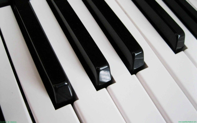 Piano keyboard closeup black white #5 free wallpaper - medium preview image