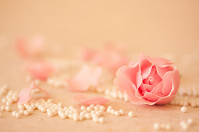 Pink rose pearls tablecloth scattered free wallpaper - medium preview image