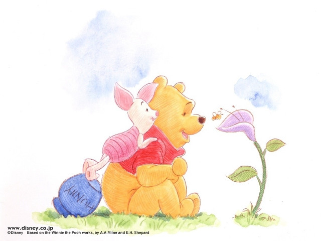 Pig bear sitting ground flower free wallpaper - medium preview image