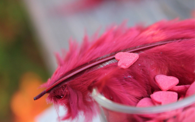 Glass pink hearts feather spoon free wallpaper - medium preview image