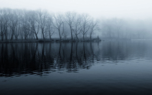 Lake trees fog water reflections #4 free wallpaper - medium preview image